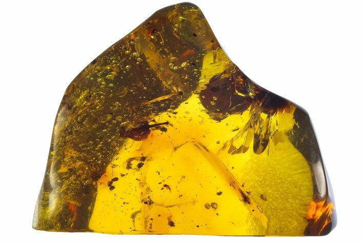 Large, Polished Chiapas Amber With Inclusions ( g) - Mexico #104306
